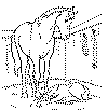 horses15.gif (13318 bytes)