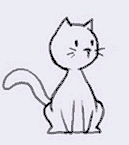 cute kitty